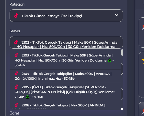 Opera Anlık Görüntü_2025-07-06_131112_netsmm.com.tr.png