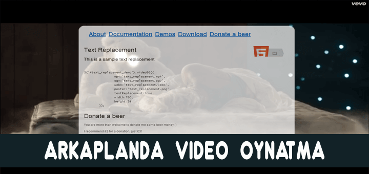 web-site-arkaplanda-video-oynatma